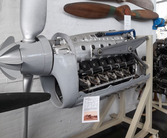 argus411